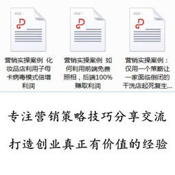 整合營銷策略 從策劃到執行的實戰路徑與案例解析